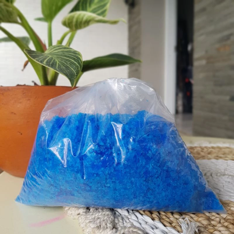 Trussi 1kg Anti Lumut Kolam Renang Gratis Konsultasi - Gambar 3